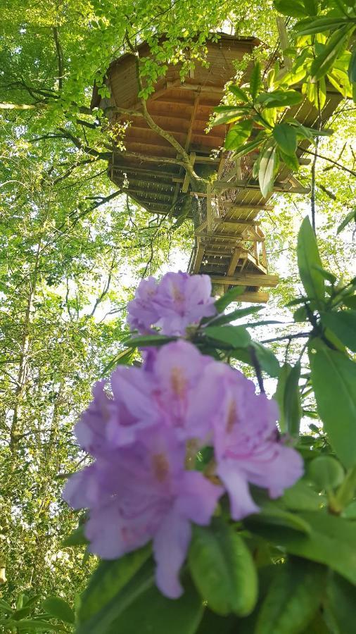 Le Domaine De Wail - Legends Resort Room photo